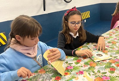 Actividades enero 2025