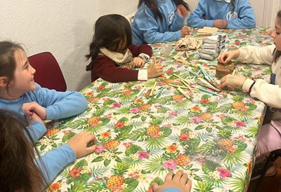 Actividades enero 2025
