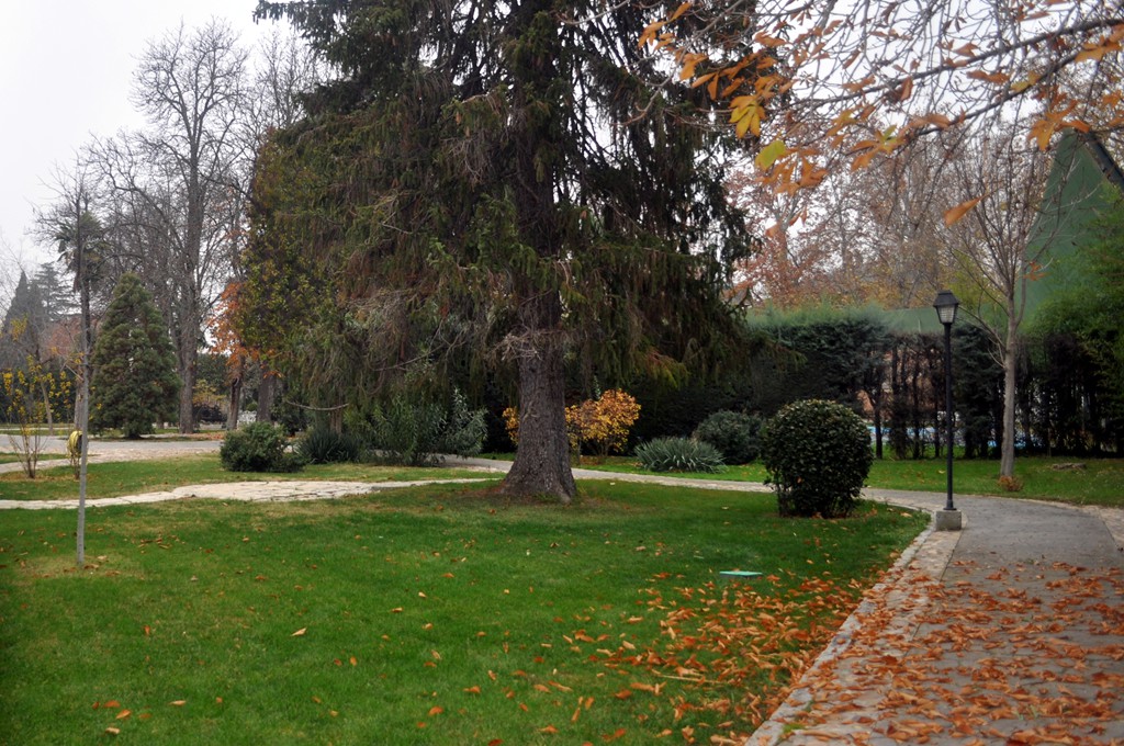 JARDÍN